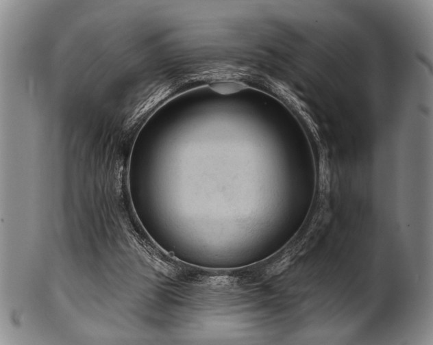 X0000102460153200808081235