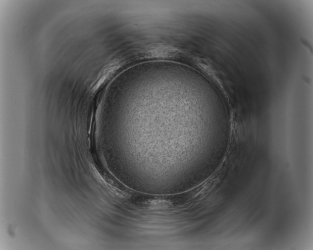 X0000102460154200808081235