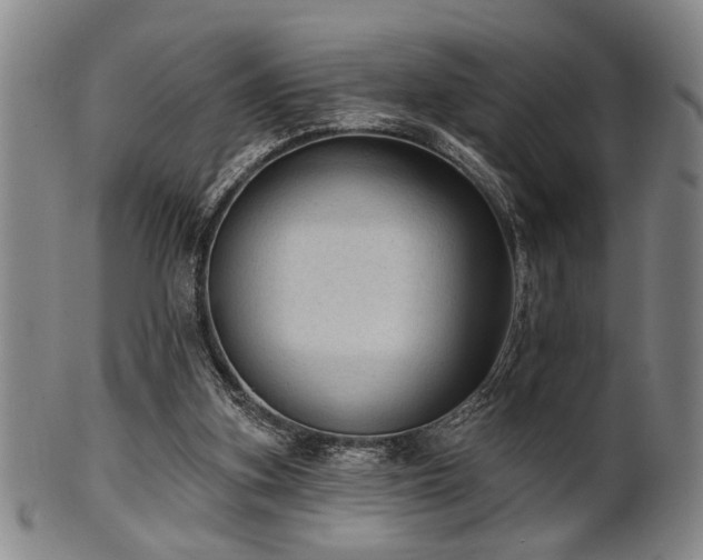 X0000102460155200808081235