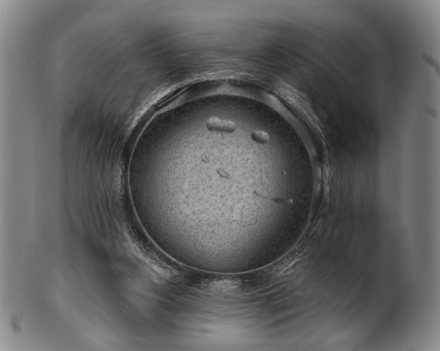 X0000102460156200808081235