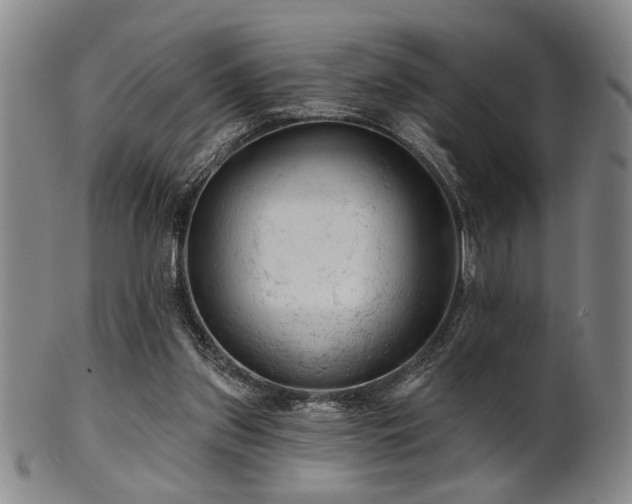 X0000102460157200808081235