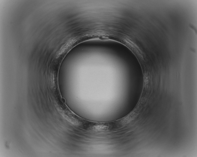 X0000102460158200808081235