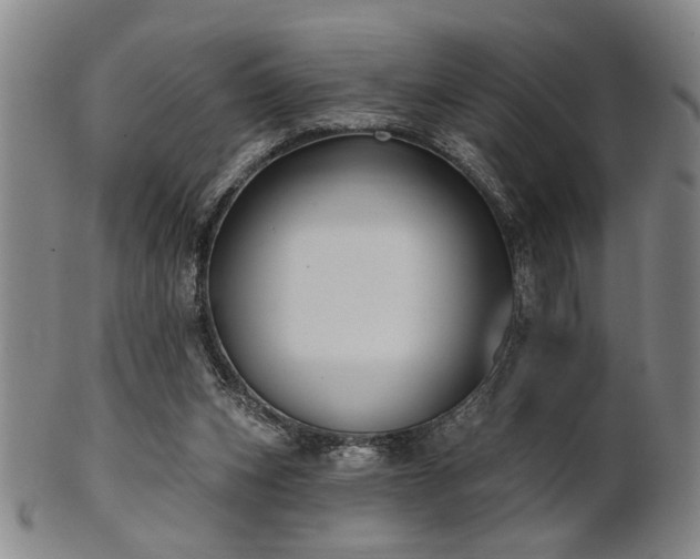 X0000102460159200808081235