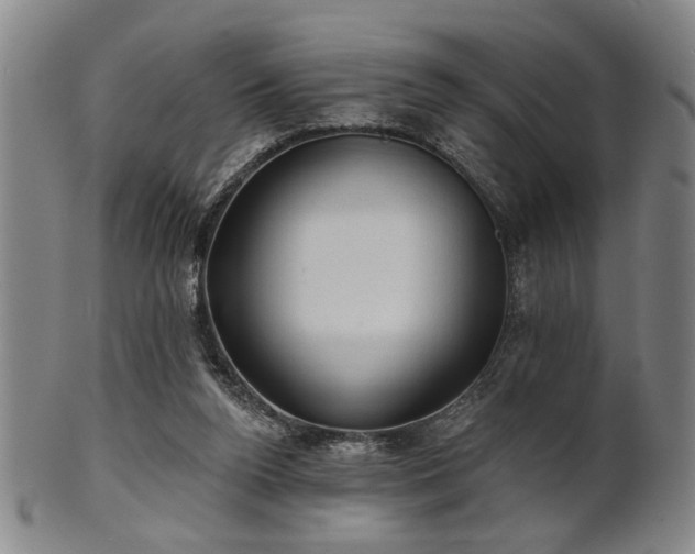 X0000102460160200808081235