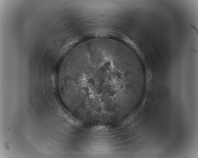 X0000102460161200808081235