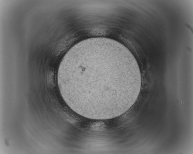 X0000102460162200808081235