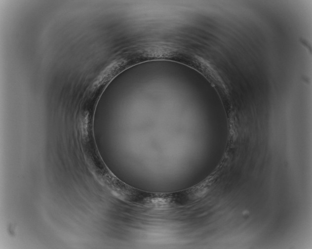 X0000102460163200808081235