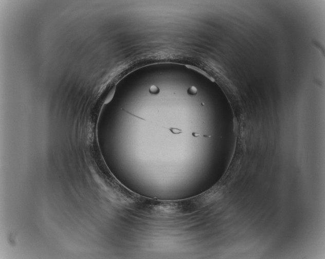 X0000102460164200808081235