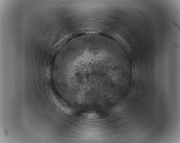 X0000102460165200808081235