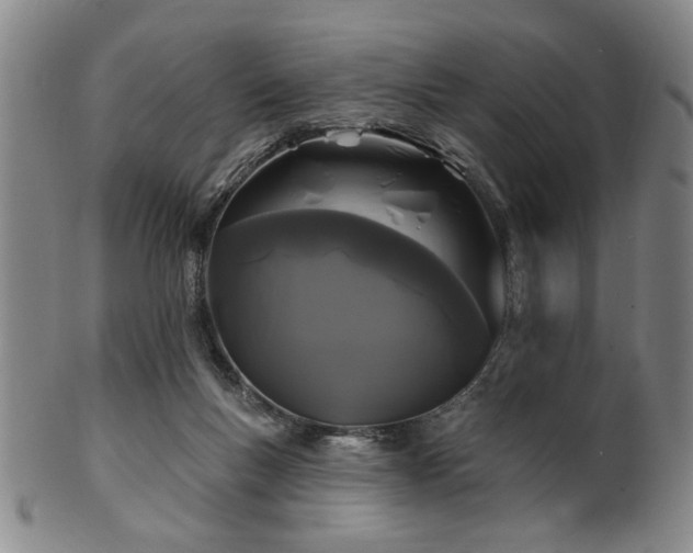 X0000102460167200808081235