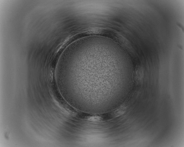 X0000102460168200808081235