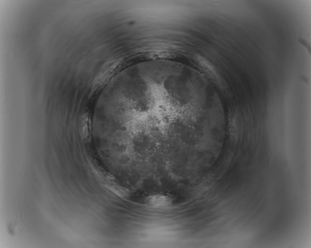 X0000102460169200808081235