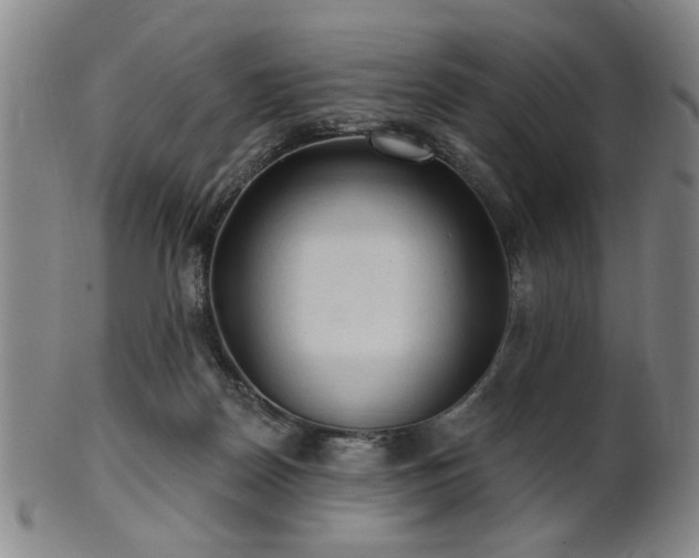 X0000102460170200808081235