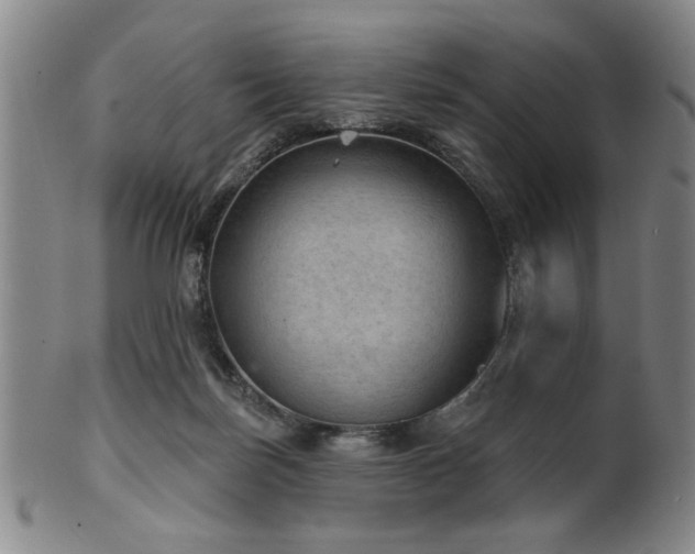 X0000102460171200808081235