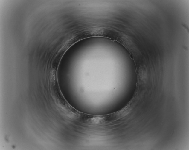 X0000102460172200808081235