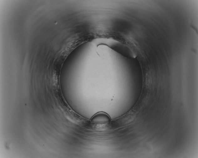 X0000102460173200808081235