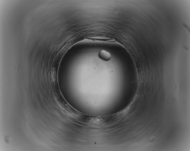 X0000102460174200808081235