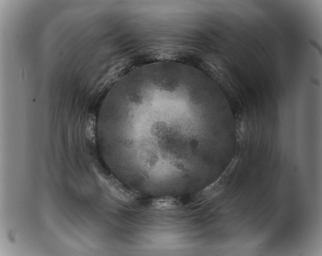 X0000102460175200808081235