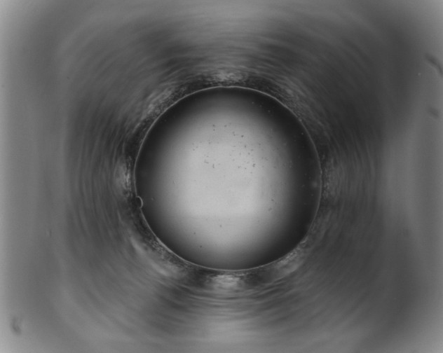 X0000102460176200808081235