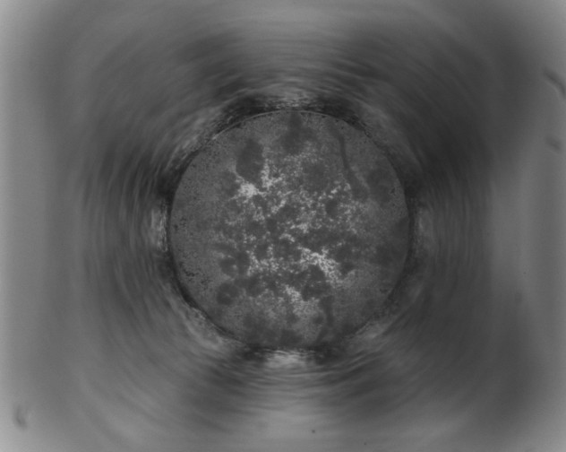 X0000102460177200808081235