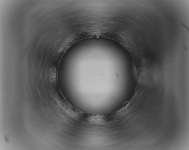 X0000102460179200808081235