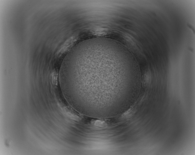 X0000102460180200808081235