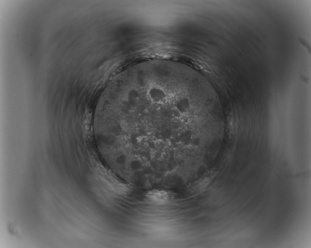 X0000102460181200808081235