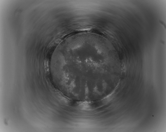 X0000102460182200808081235