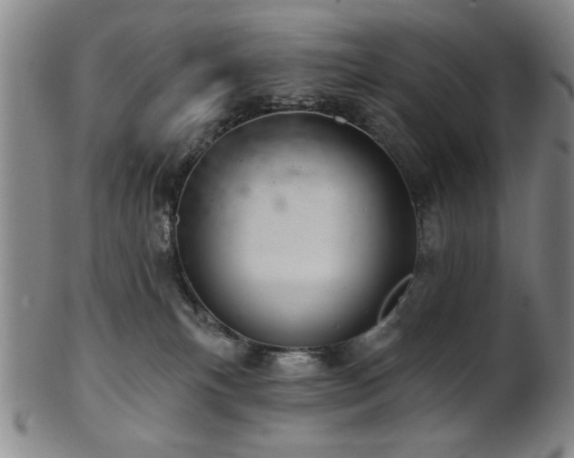 X0000102460183200808081235