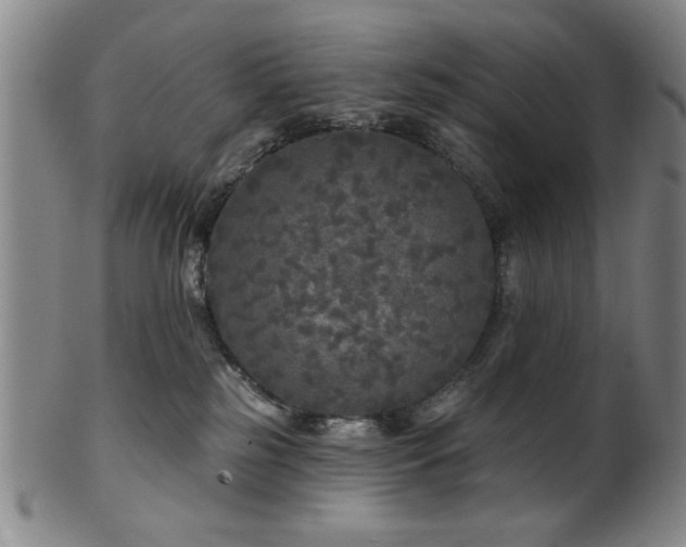 X0000102460185200808081235