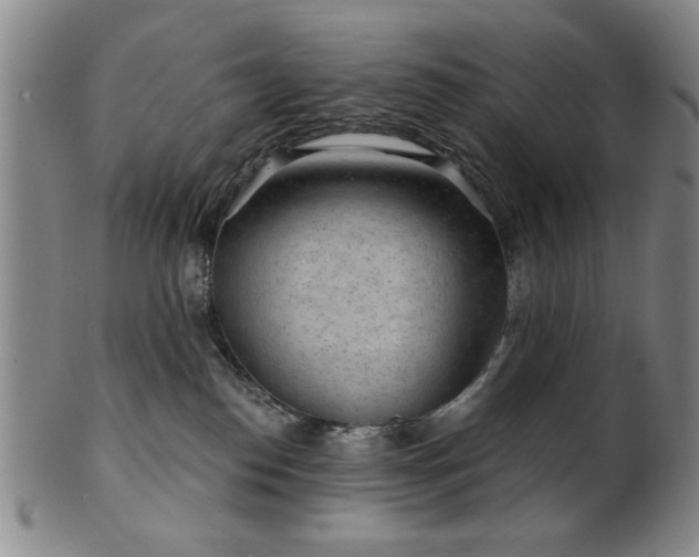 X0000102460186200808081235