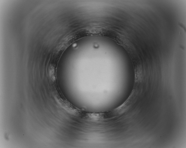 X0000102460187200808081235