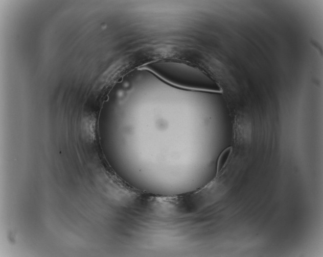 X0000102460188200808081235