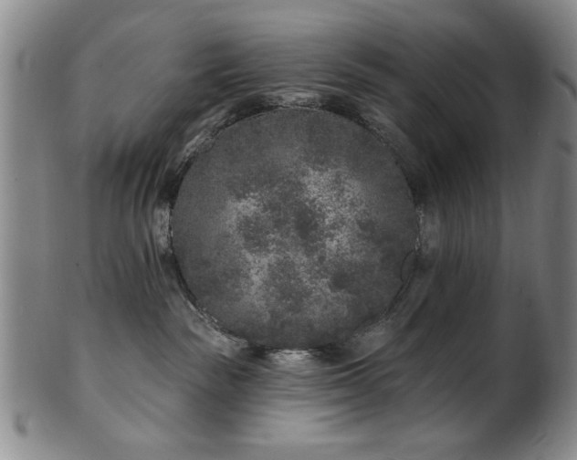 X0000102460189200808081235