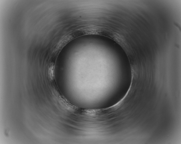 X0000102460190200808081235