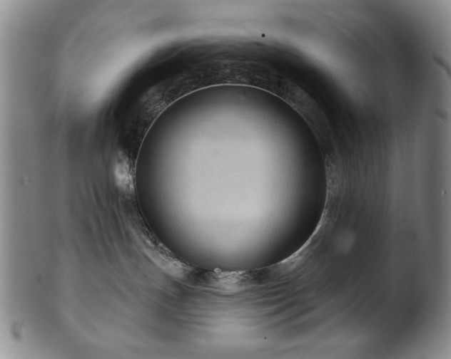 X0000102460191200808081235