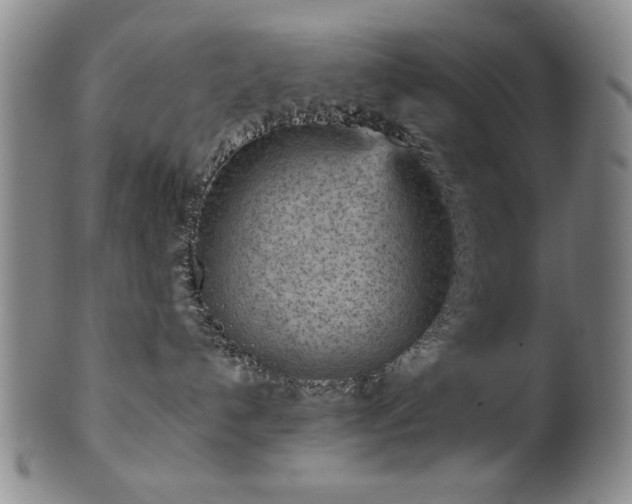 X0000102460192200808081235