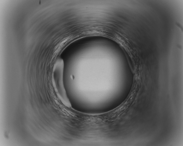 X0000102460193200808081235