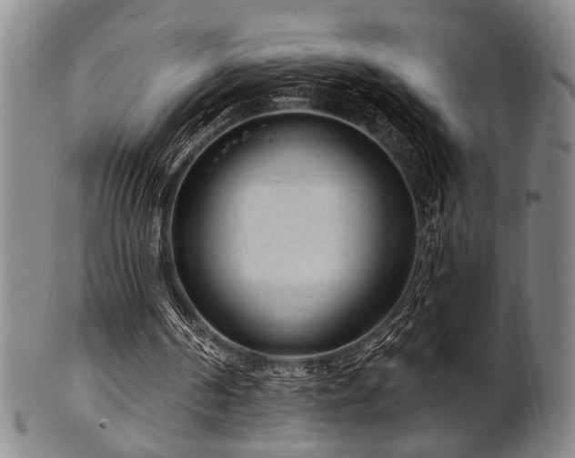 X0000102460194200808081235