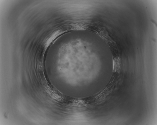 X0000102460195200808081235