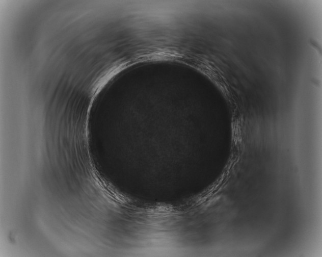 X0000102460196200808081235