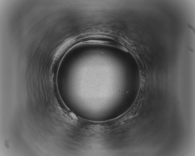 X0000102460197200808081235