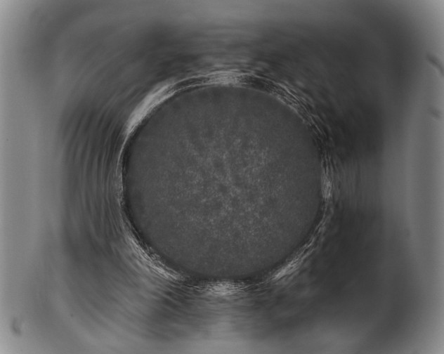 X0000102460198200808081235