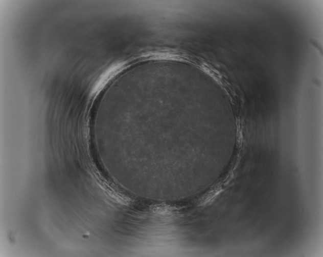 X0000102460199200808081235