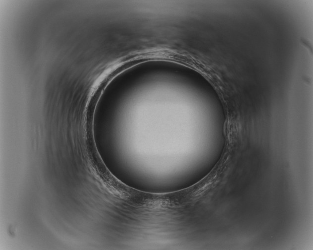 X0000102460200200808081235