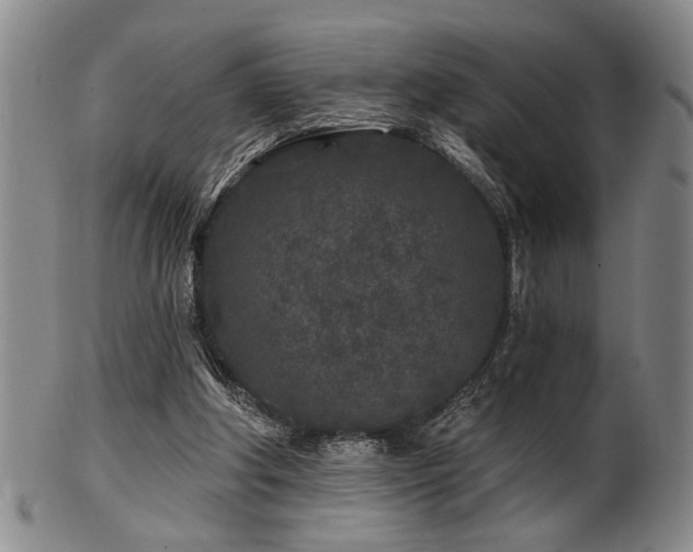 X0000102460202200808081235