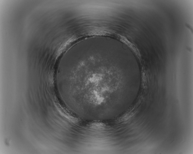 X0000102460203200808081235