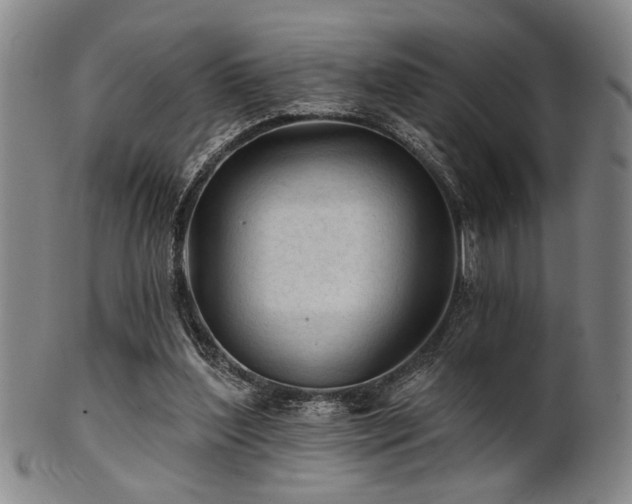 X0000102460204200808081235