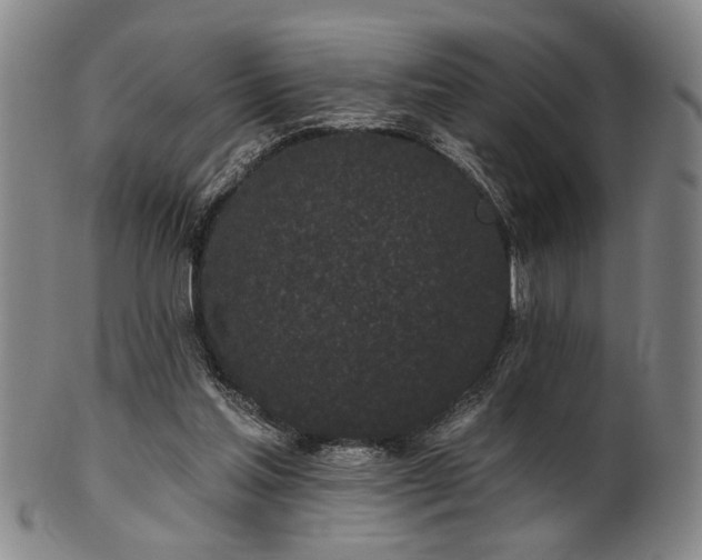 X0000102460205200808081235