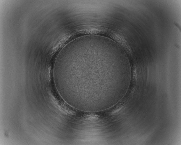 X0000102460206200808081235